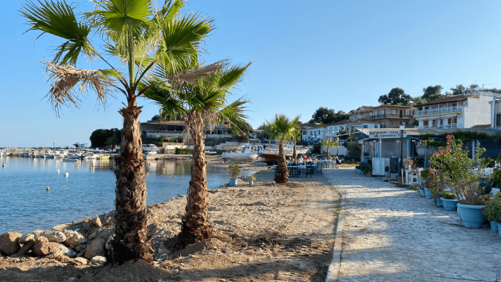 Finikounda - neue Palmen an der Uferpromenade